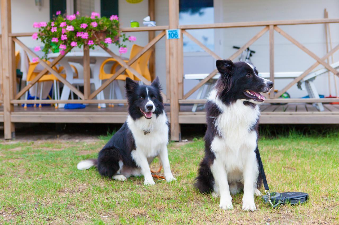 Vela Blu Camping Village Cavallino-Treporti Esterno foto
